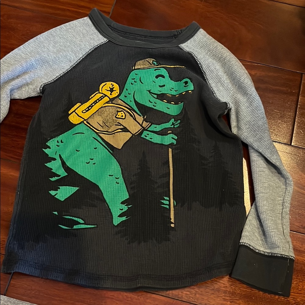 Kids' Gray and Black Dinosaur Long Sleeve Shirt 5T
